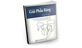 Giải phẫu răng - Bs.Ts.Hoàng Tử Hùng