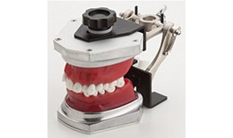 ORT-KIT-1 Orthodontic Typodont Kit