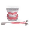 Mẫu hàm chăm sóc răng miệng Colgate