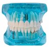 Mẫu hàm tư vấn bệnh lý 5 in 1